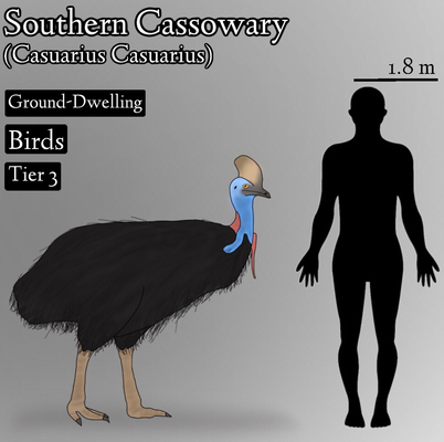 2025032518016524.jpg 2.jpg