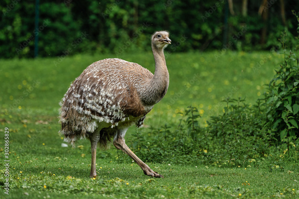 2025032519698823.jpg 8.jpg