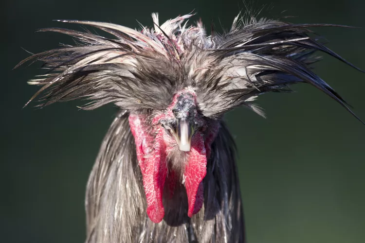 2025032710308040.webp 11.webp