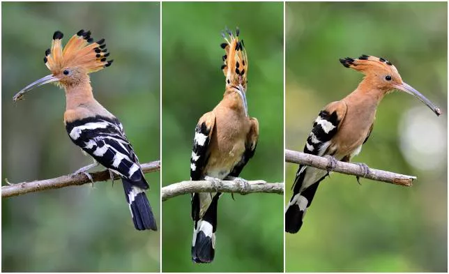 2025032794150914.webp 7.webp