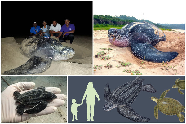 2025032715582417.jpg 4.jpg