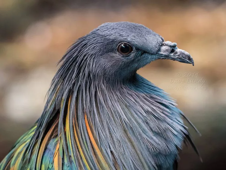 2025032715730609.webp 6.webp