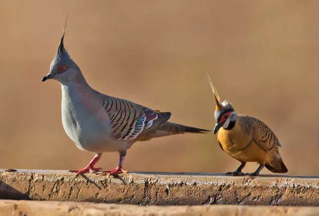 2025032720269328.webp 14.webp