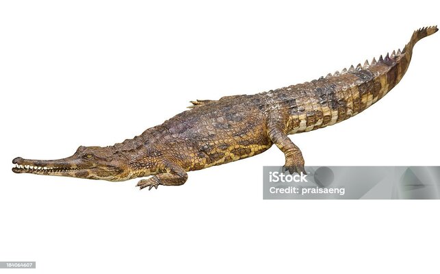 2025032748705575.jpg 10.jpg