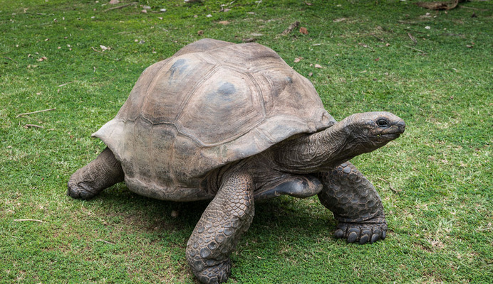 2025032797201554.jpg 11.jpg