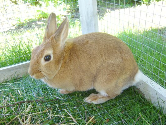 2025033114633241.jpg 4.jpg