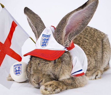 2025033118785790.jpg 6.jpg