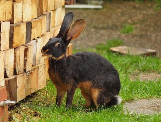 2025033120392631.jpg 8.jpg