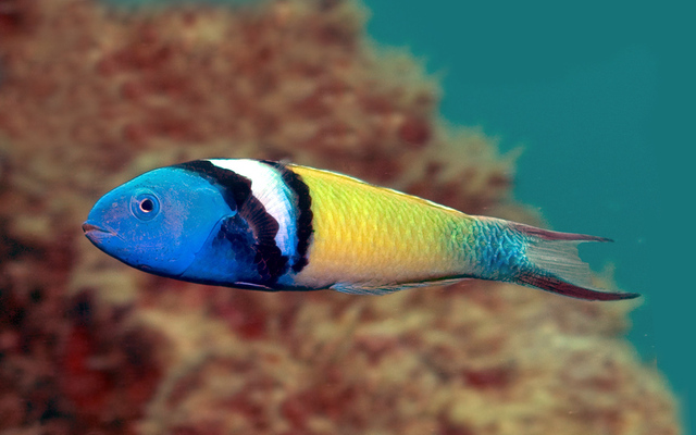 2025040138359842.jpg 10.jpg