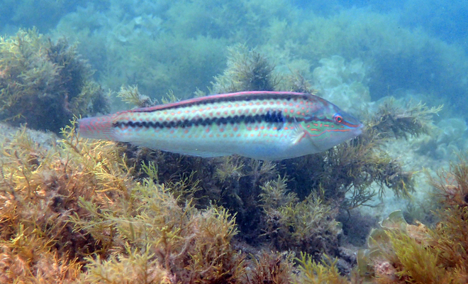 2025040140217728.jpeg 4.jpeg