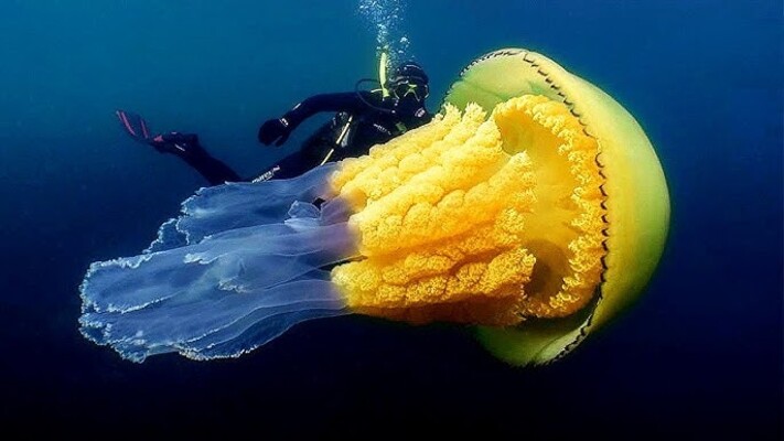 2025040210223696.jpg 124.jpg