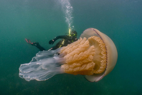 2025040212720181.jpg 1.jpg