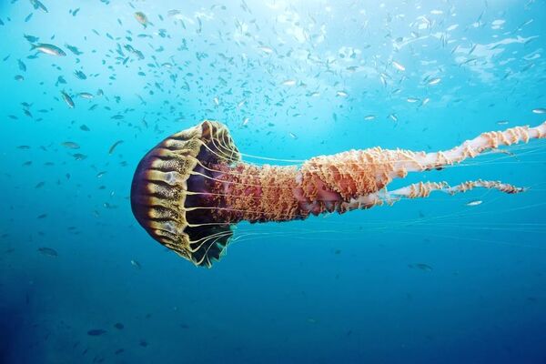 2025040212967561.jpg 13.jpg