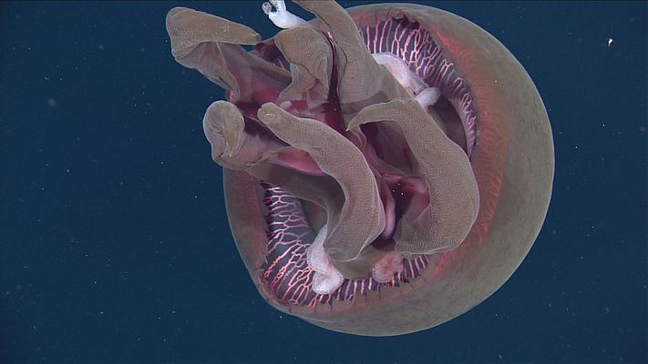 2025040212759172.jpg 5.jpg