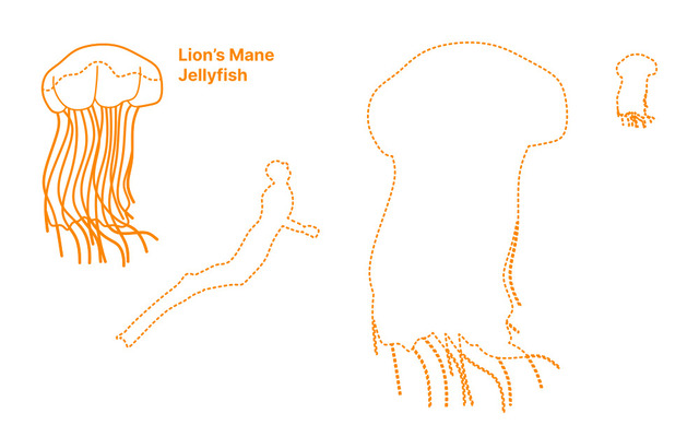 2025040273847960.jpg 11.jpg