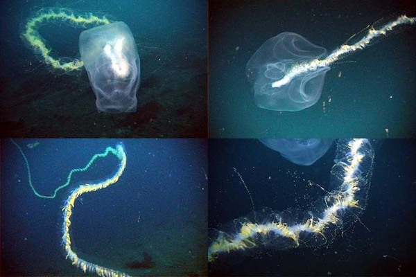 2025040262720492.jpg 14.jpg