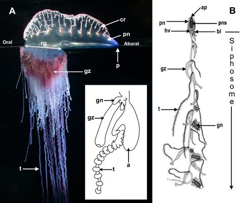 2025040241173671.jpg 33.jpg