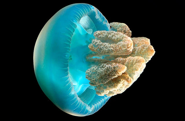 2025040215223328.jpg 12.jpg