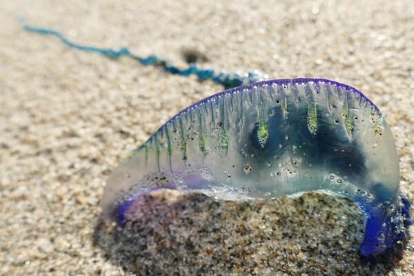 2025040214155605.jpeg 3.jpeg