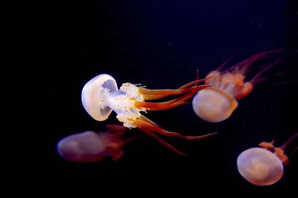 2025040250508773.jpg 7.jpg