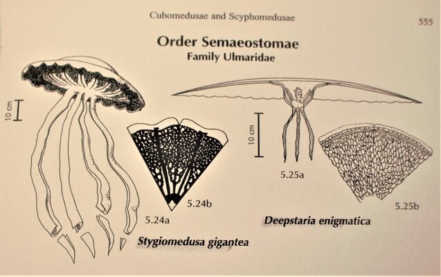 2025040271322673.jpg 44.jpg