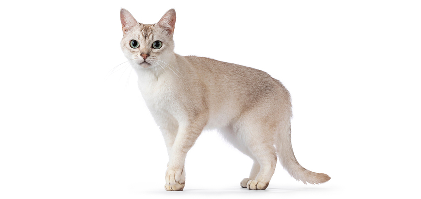 2025040815128291.jpeg 8.jpeg