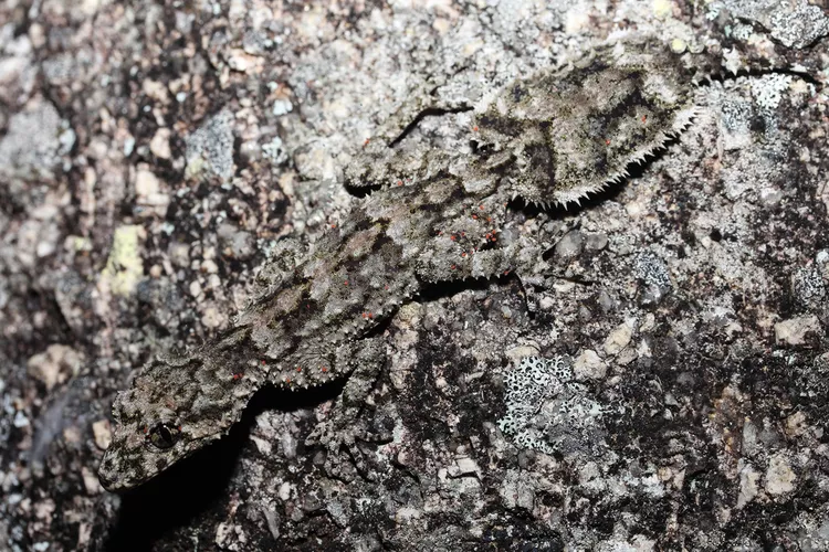 2025040916053089.webp 8.webp