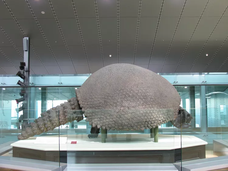 2025041098567757.webp 3.webp