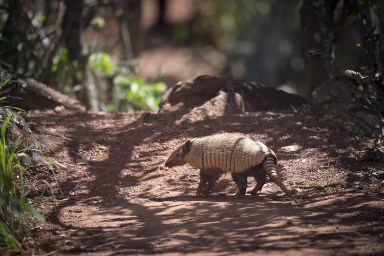 2025041012223757.webp 2.webp