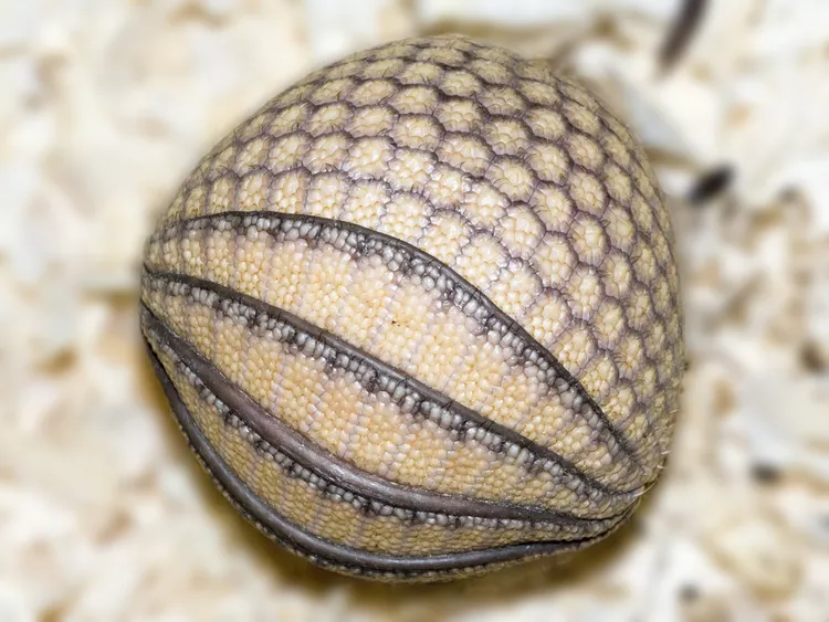 2025041010316808.webp 6.webp