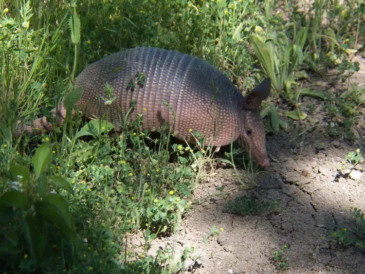 2025041015322281.webp 1.webp