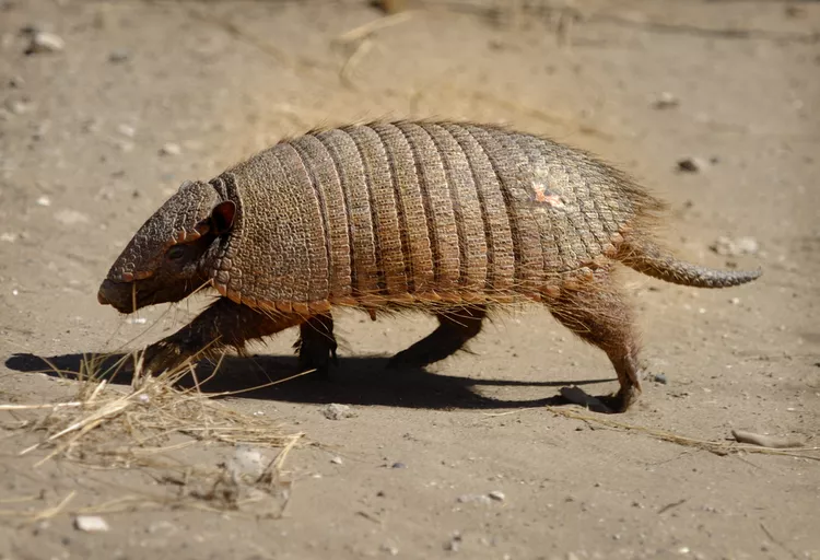 2025041020774751.webp 10.webp