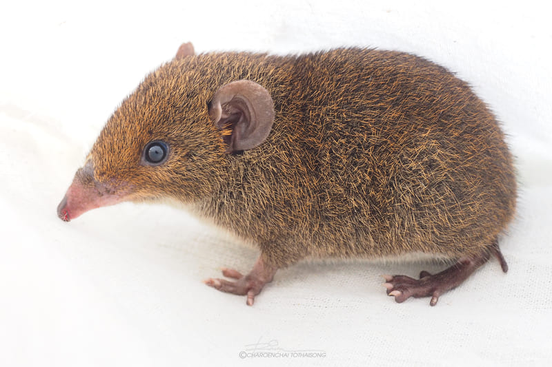 2025041113484568.jpg 6.jpg