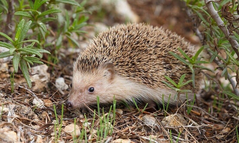 2025041125010802.jpg 101.jpg