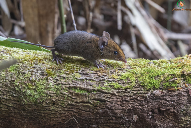 2025041119968096.jpg 9.jpg