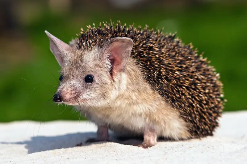 2025041177307274.jpg 44.jpg