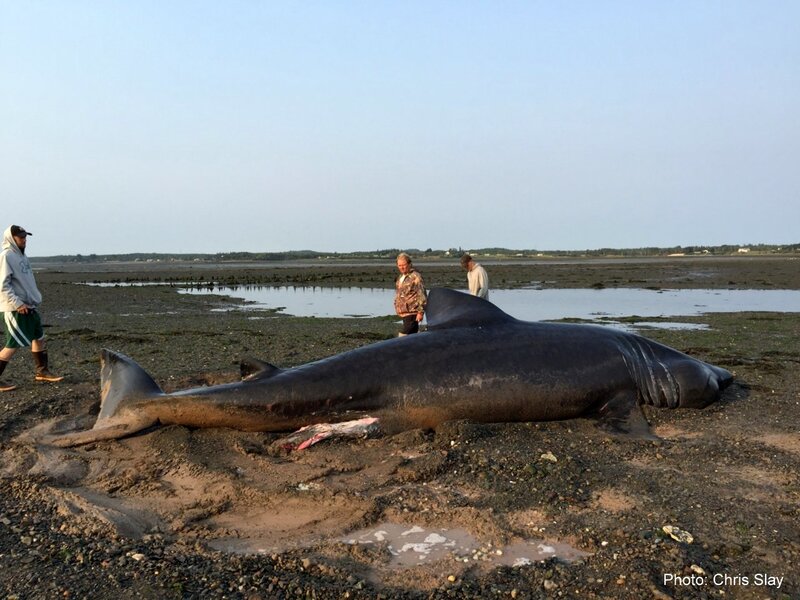 2025041588485638.jpg 22.jpg