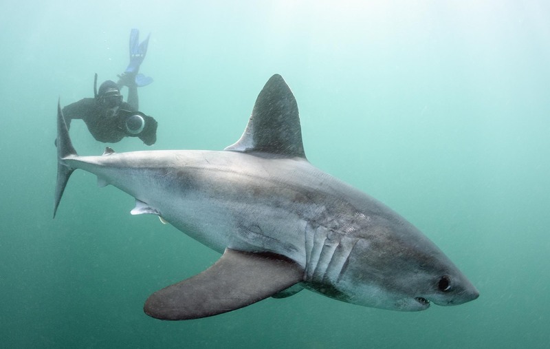 2025041511183191.jpg 66.jpg