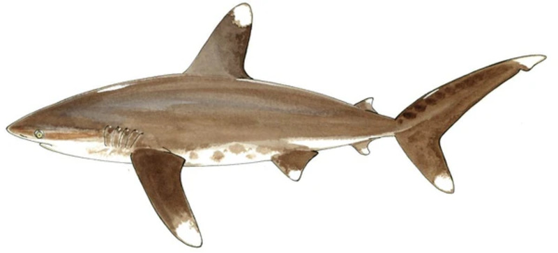 2025041511852215.jpg 101.jpg