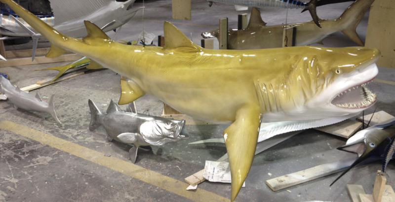 2025041520918484.jpg 88.jpg