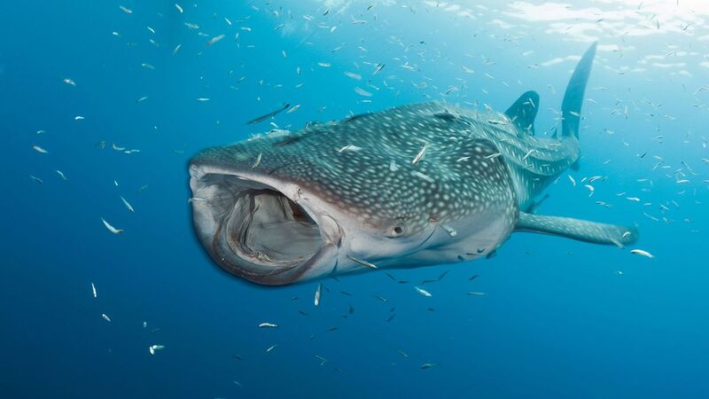 2025041561925279.jpg 1.jpg