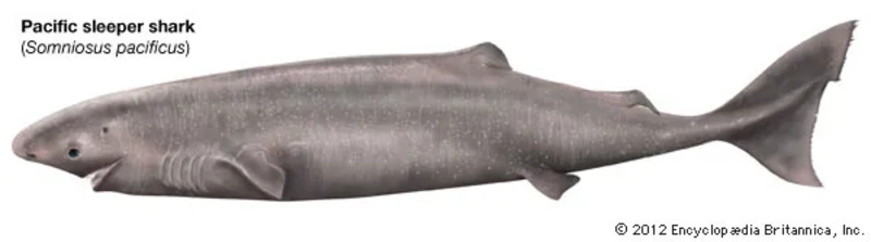 2025041518543770.jpg 4.jpg