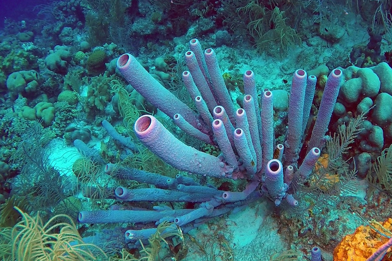 2025041669233918.jpg 101.jpg