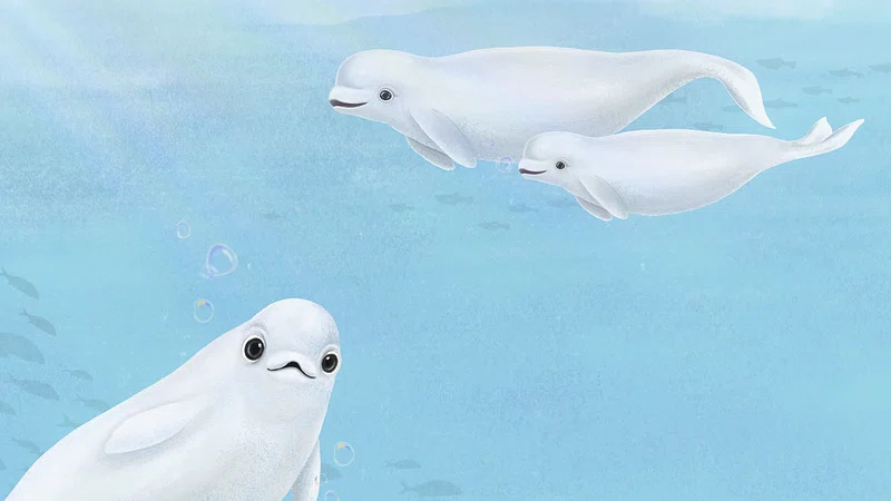 2025041612054791.jpg 4.jpg