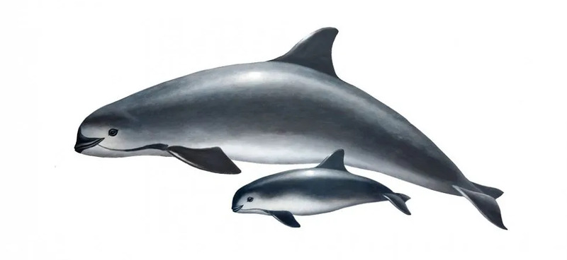 2025041616065297.jpg 8.jpg