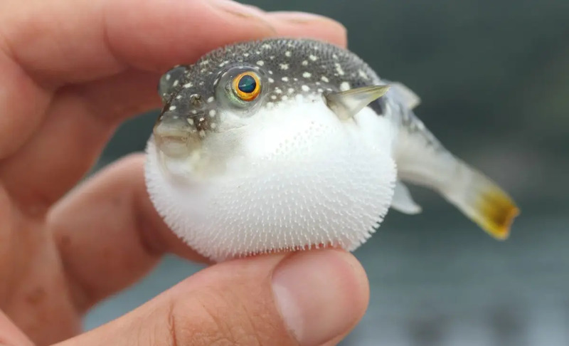 2025041618338993.jpg 33.jpg