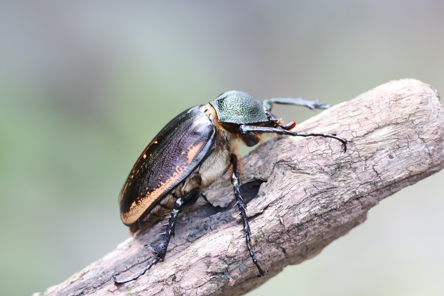 2025041812326172.jpg 7.jpg