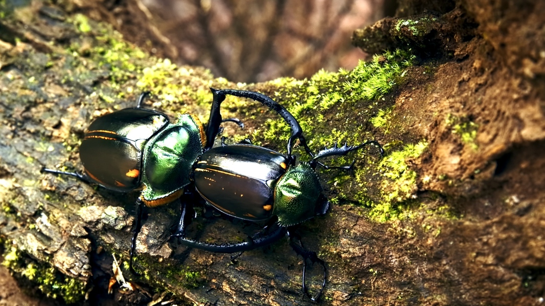 2025041853485643.jpeg 2.jpeg