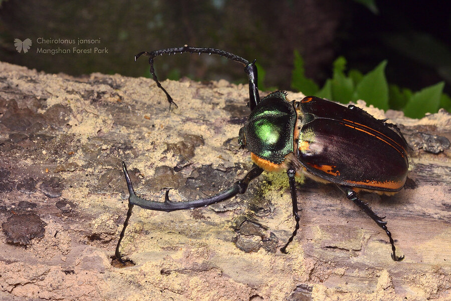 2025041818360245.jpg 3.jpg