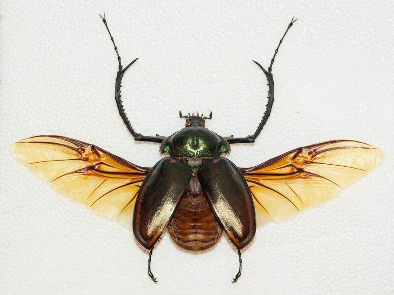 2025041827892600.jpeg 6.jpeg